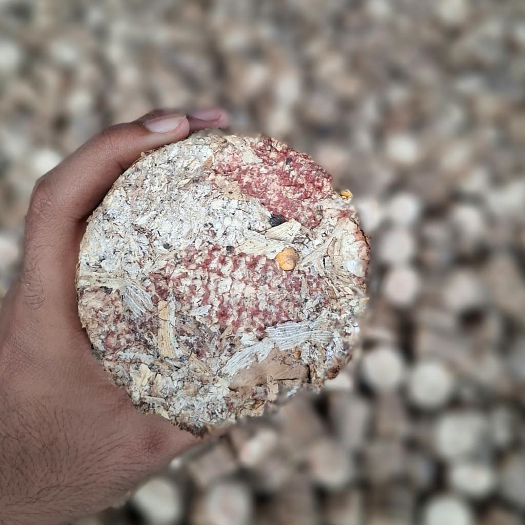 High Density Briquette End View