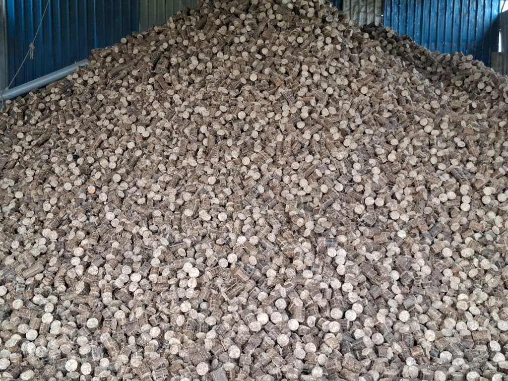 Biomass Briquettes