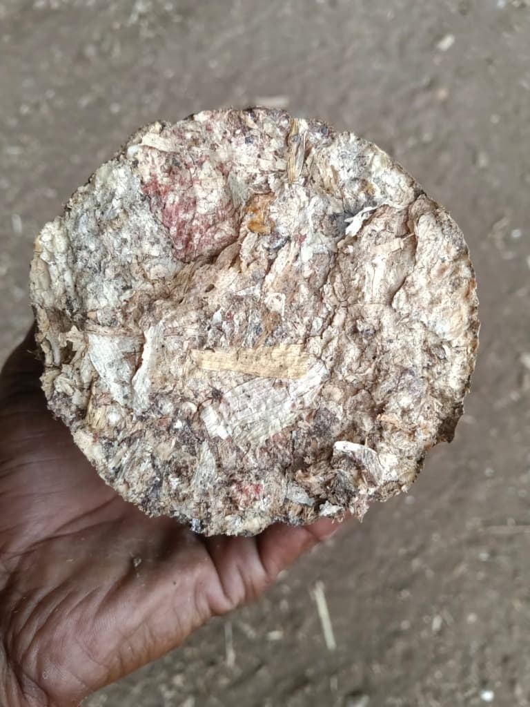 Premium Biomass Briquettes Cross Section